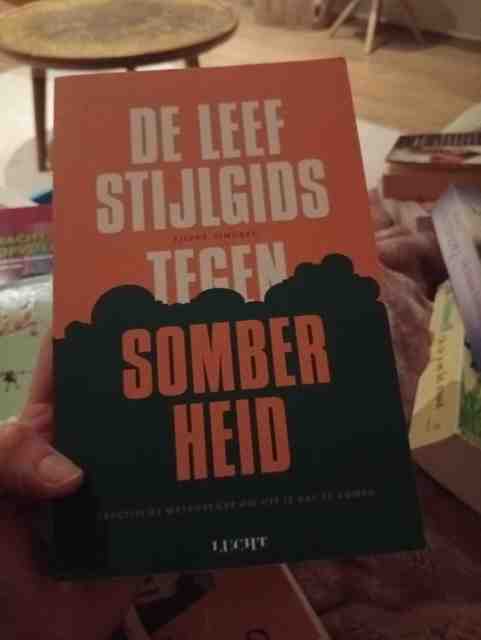 9789492798404-De-leefstijlgids-tegen-somberheid