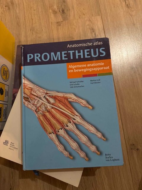 9789031343850-Algemene-anatomie-en-bewegingsapparaat