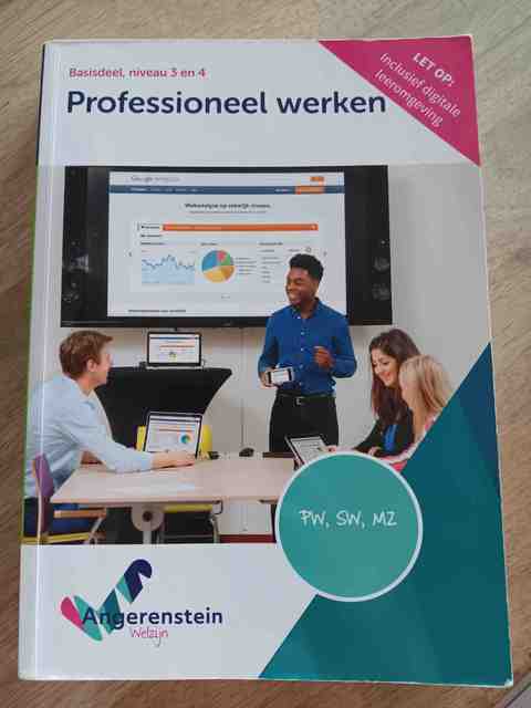 9789037254372-NIEUW-BOEK-Professioneel-werken