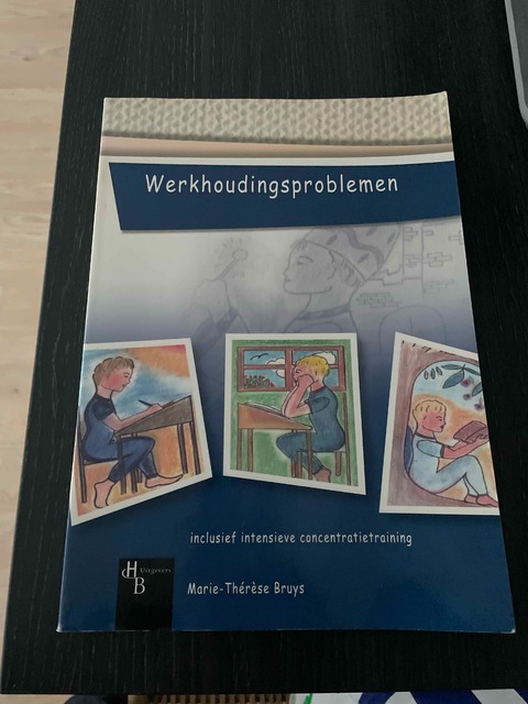 9789055745838-Werkhoudingsproblemen-Inclusief-Intensieve-Concentratietraining