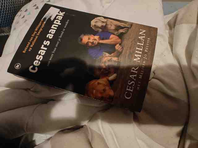 9789044331202-Cesars-aanpak