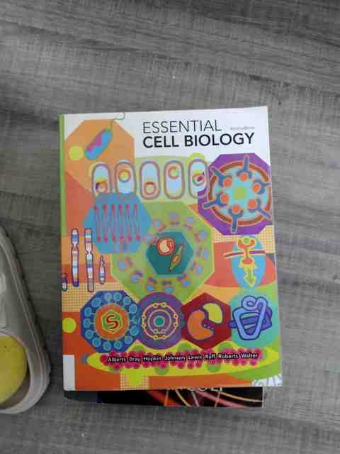 9780815341307-Essential-Cell-Biology