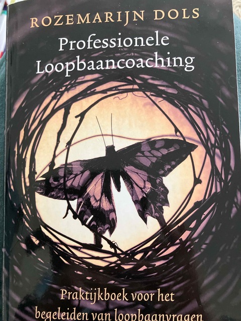 9789089650016-Professionele-loopbaancoaching