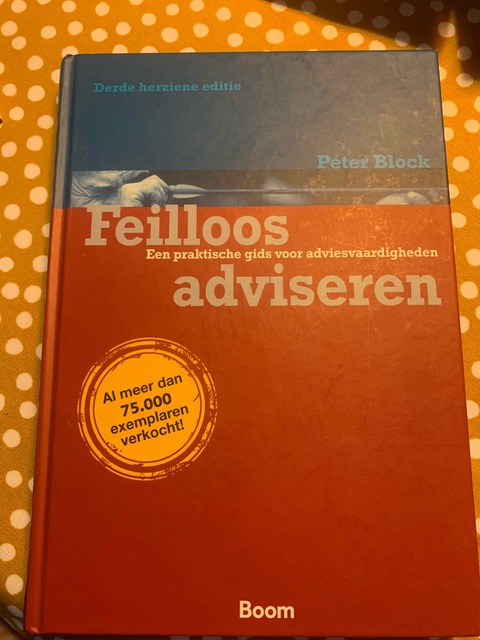 9789052617947-Feilloos-adviseren