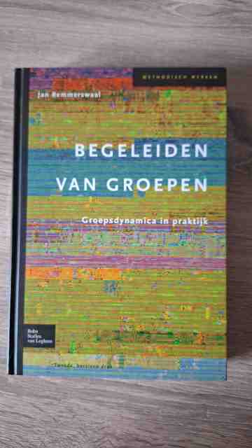 9789031347315-Begeleiden-van-groepen