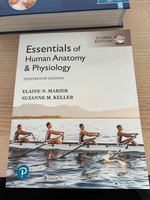 9781292401942-Essentials-of-Human-Anatomy-Physiology-Global-Edition