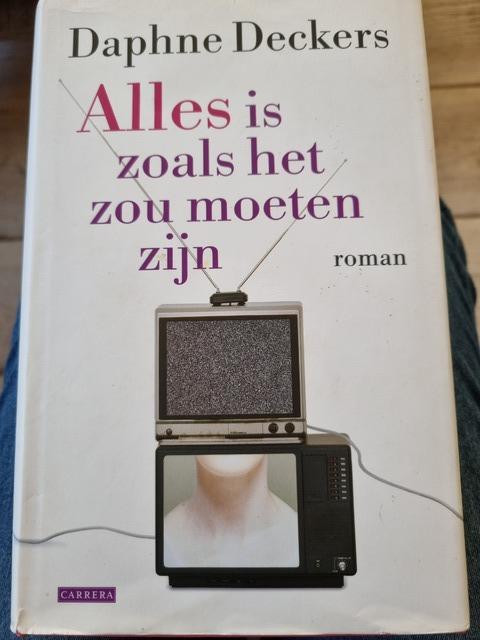 9789049952457-Alles-is-zoals-het-zou-moeten-zijn