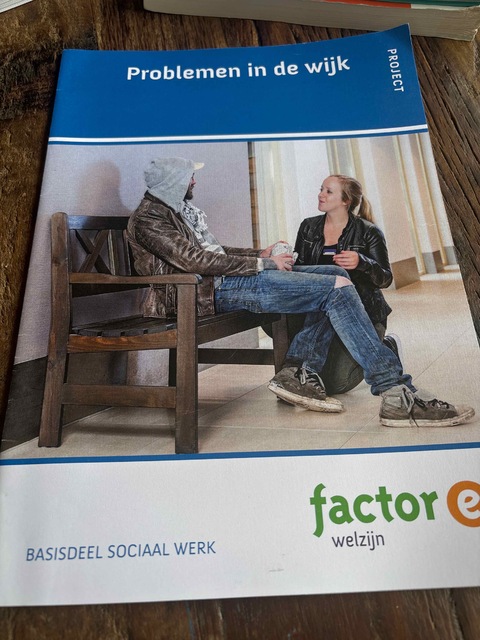 9789037233391-Problemen-in-de-wijk