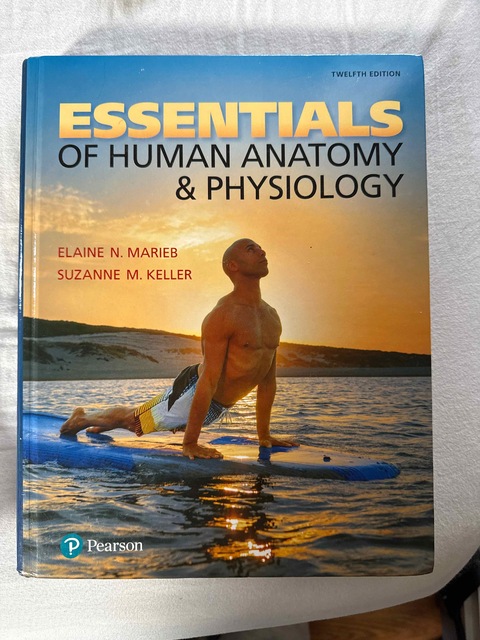 9780134580579-Essentials-of-Humang-Anatomy-ampampamp-Physiology-12e-druk