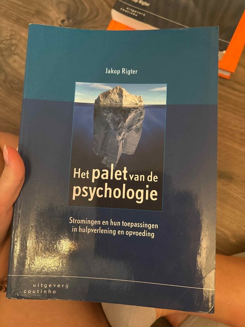 9789046900109-Het-palet-van-de-psychologie