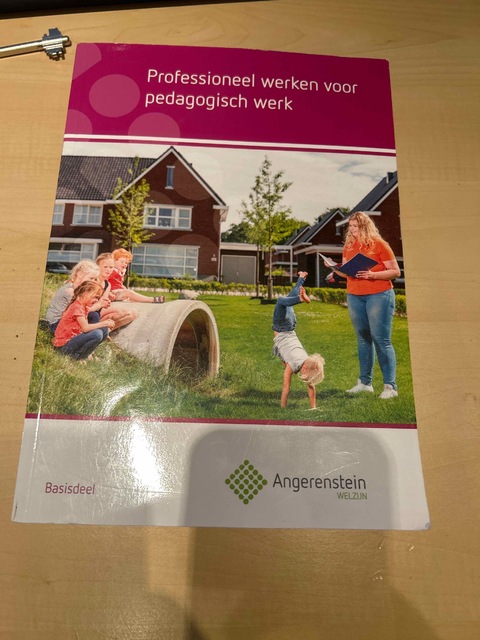 9789037244069-Professioneel-werken-voor-pedagogisch-werk-Basisdeel