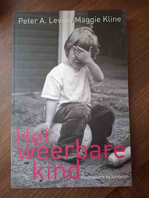 9789069638546-Het-weerbare-kind