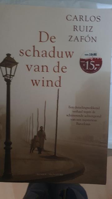 9789056720780-De-schaduw-van-de-wind