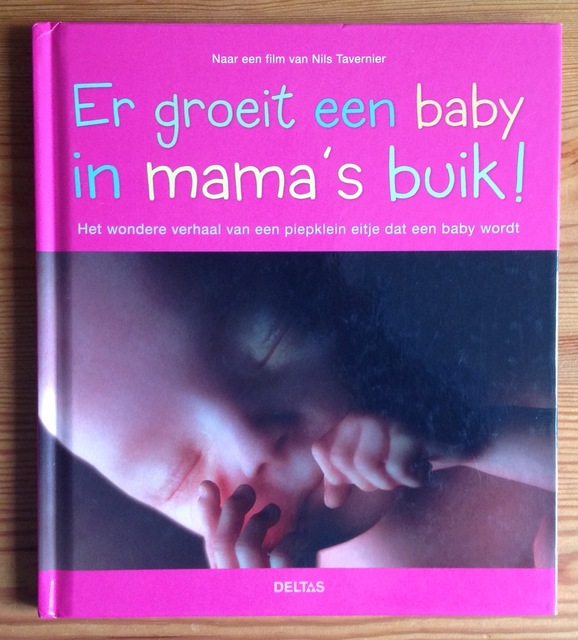 9789044719604-Er-groeit-een-baby-in-mama%C3%AF%C2%BF%C2%BDs-buik