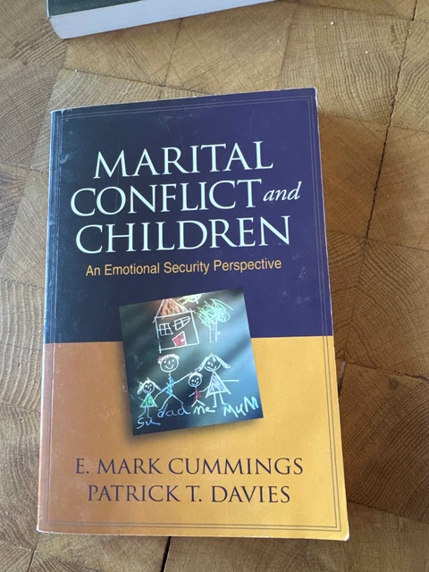 9781462503292-Marital-Conflict-and-Children