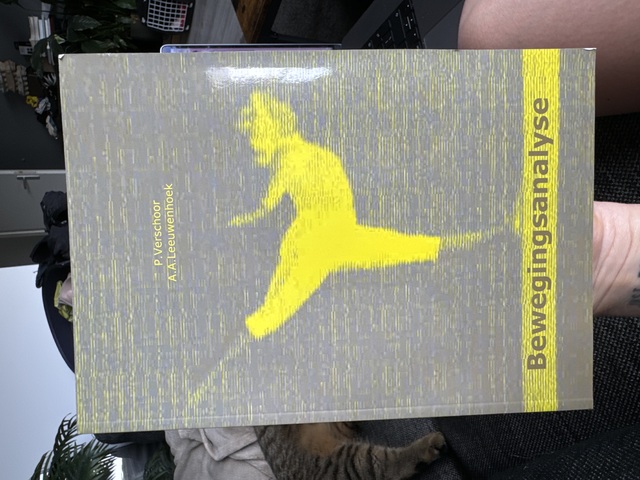 9789080023819-Bewegingsanalyse