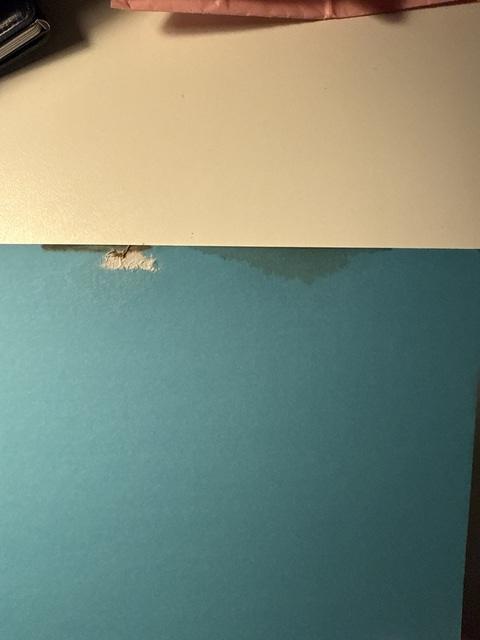 9789463592680-complete-anatomie-studieboek