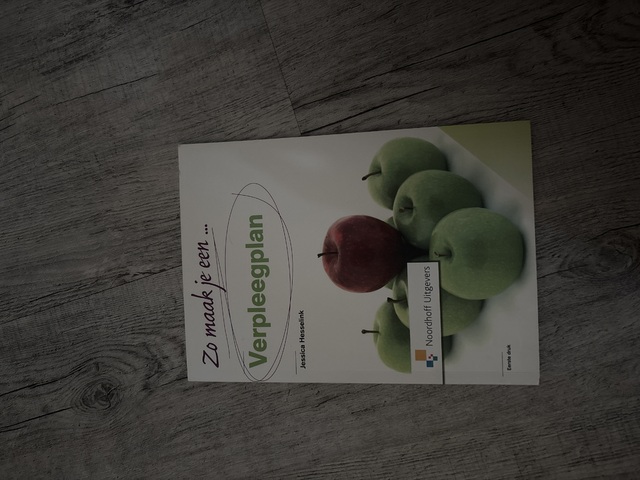 9789001804961-Zo-maak-je-een-verpleegplan