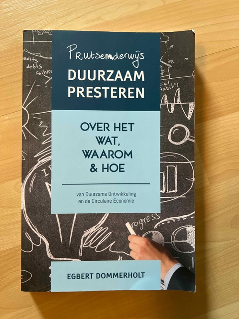 9789463890311-Prutsenderwijs-duurzaam-presteren