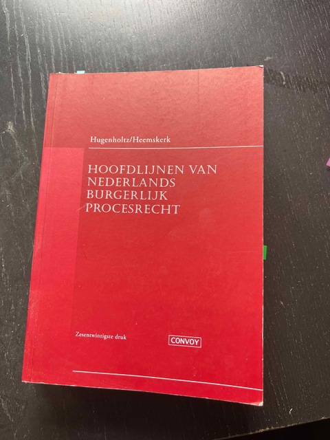 9789463173001-Hoofdlijnen-van-Nederlands-Burgerlijk-Procesrecht