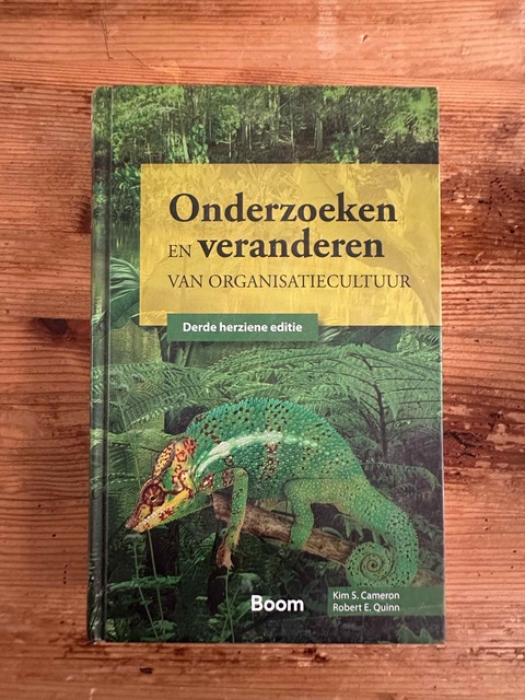 9789052618890-Onderzoeken-en-veranderen-van-organisatiecultuur
