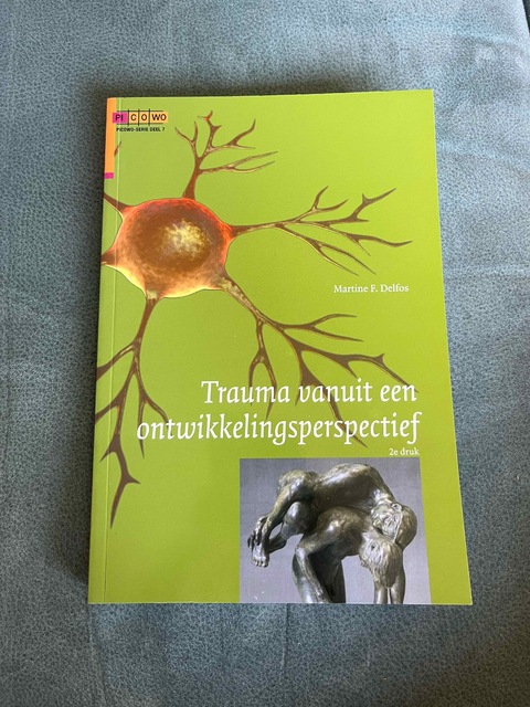 9789088505607-Trauma-vanuit-een-ontwikkelingsperspectief
