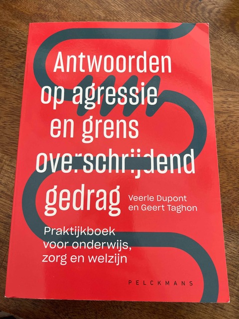 9789463371667-Antwoorden-op-agressie-en-grensoverschrijdend-gedrag