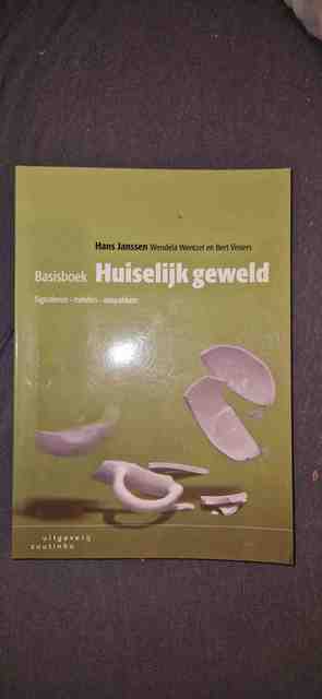 9789046904770-Basisboek-huiselijk-geweld