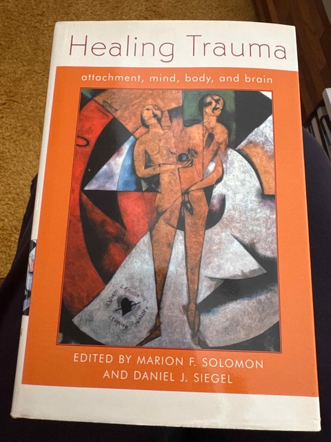 9780393703962-Healing-Trauma