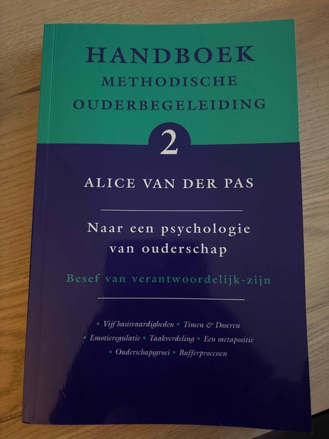 9789066657816-Handboek-Methodische-Ouderbegeleiding-2-naar-een-psychologie-van-ouderschap