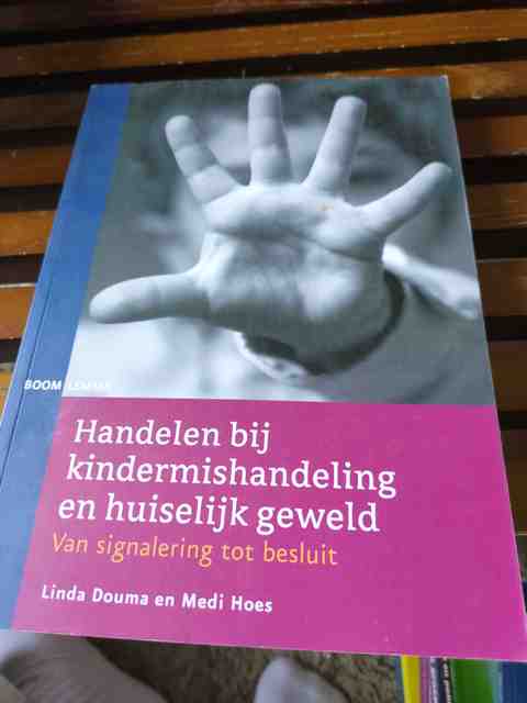 9789059318618-Handelen-bij-kindermishandeling-en-huiselijk-geweld