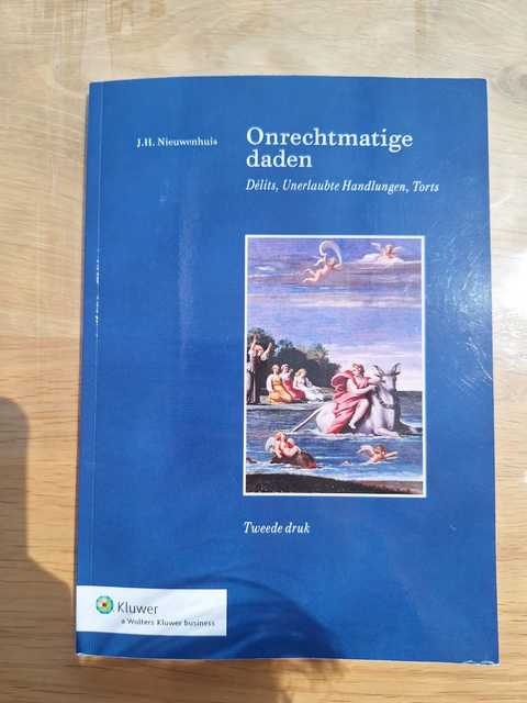 9789013052350-Onrechtmatige-Daden