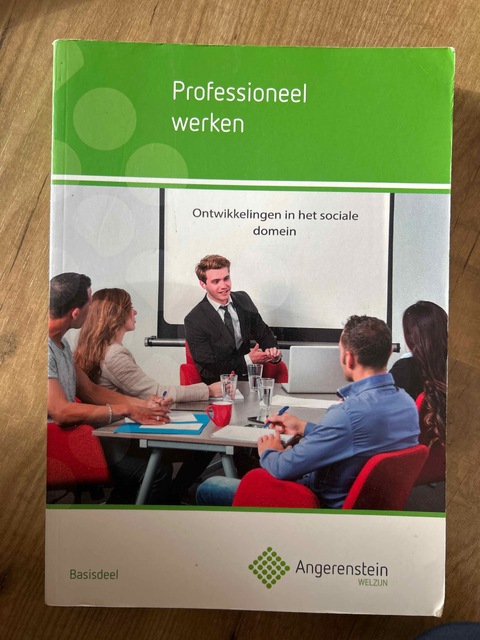 9789037223637-Professioneel-werken