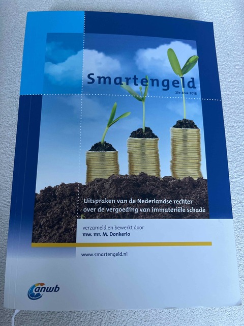9789081417587-Smartengeld-uitspraken-vergoeding-van-immateriele-schade