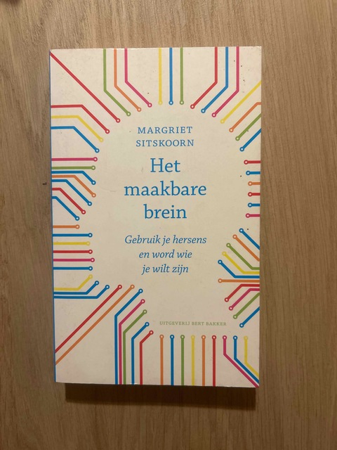 9789035130364-Het-maakbare-brein