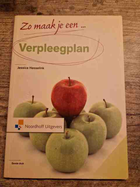 9789001804961-Zo-maak-je-een-verpleegplan