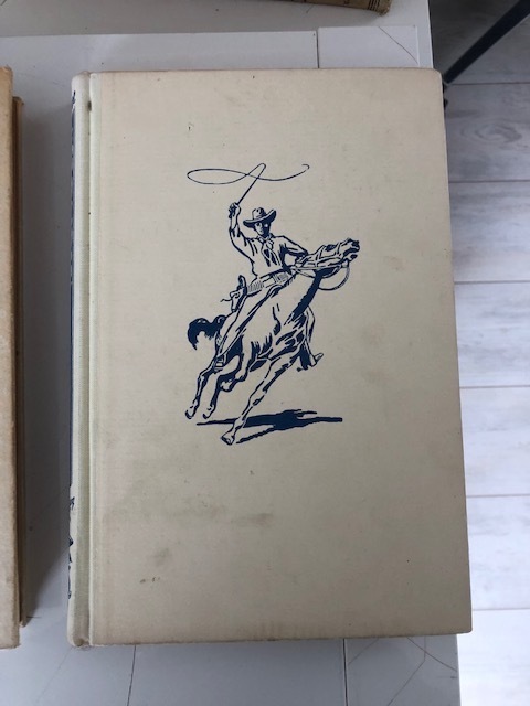 9789020833522-Het-spookt-op-de-spoorbaan