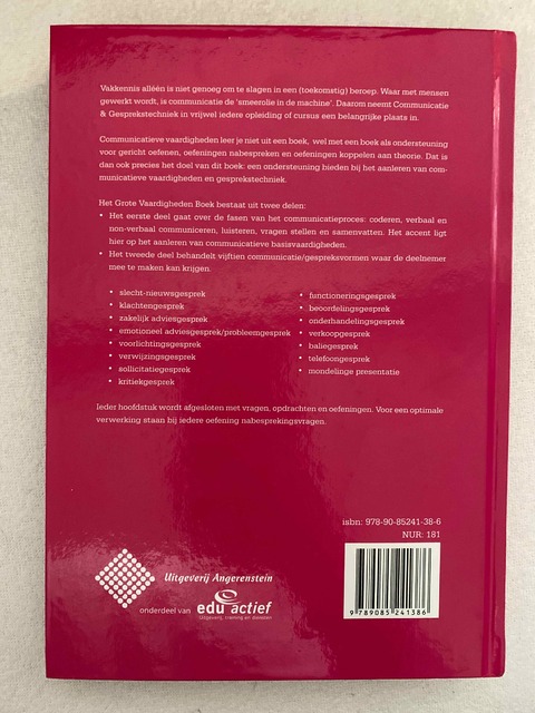 9789085241386-Het-Grote-Vaardighedenboek