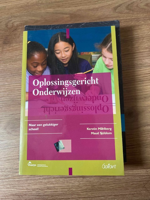 9789044122800-Oplossingsgericht-onderwijzen