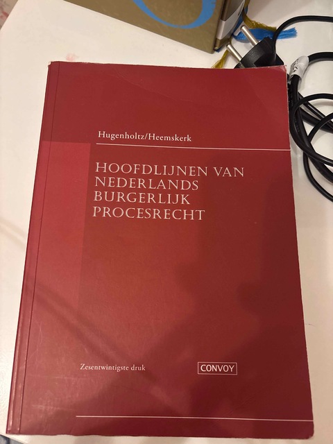 9789463173001-Hoofdlijnen-van-Nederlands-Burgerlijk-Procesrecht