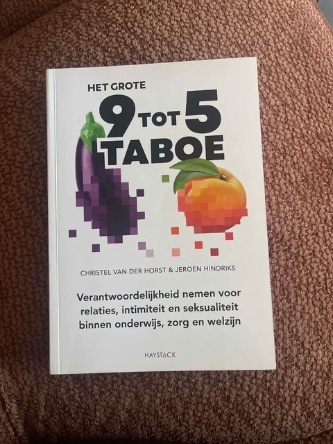9789461265883-Het-grote-9-tot-5-taboe