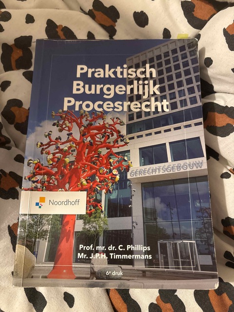 9789001299033-Praktisch-burgerlijk-procesrecht
