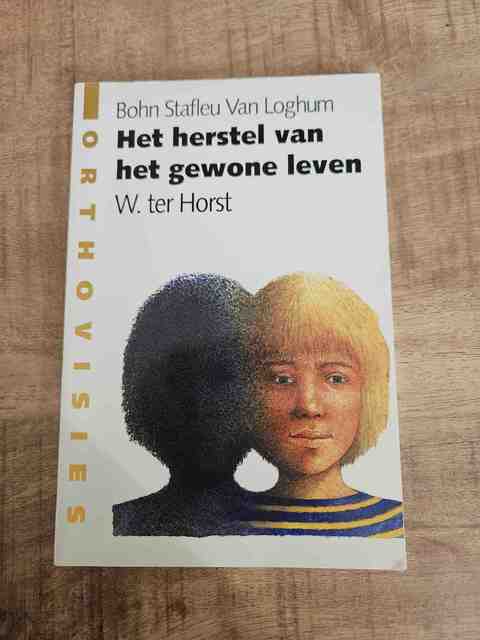 9789031329939-Het-herstel-van-het-gewone-leven