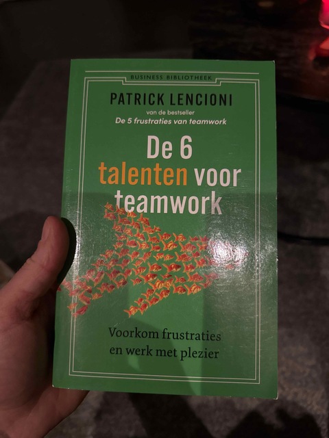 9789047017134-De-6-talenten-voor-teamwork