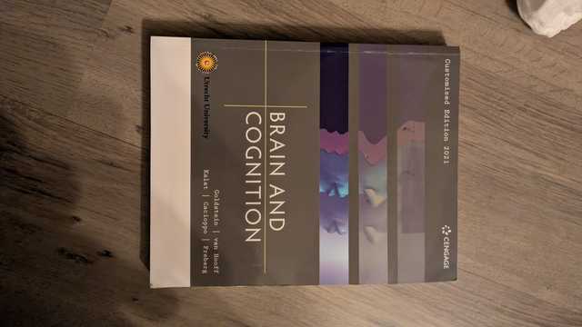 9781473788169-Athena-Brain-and-cognition-3-Summary