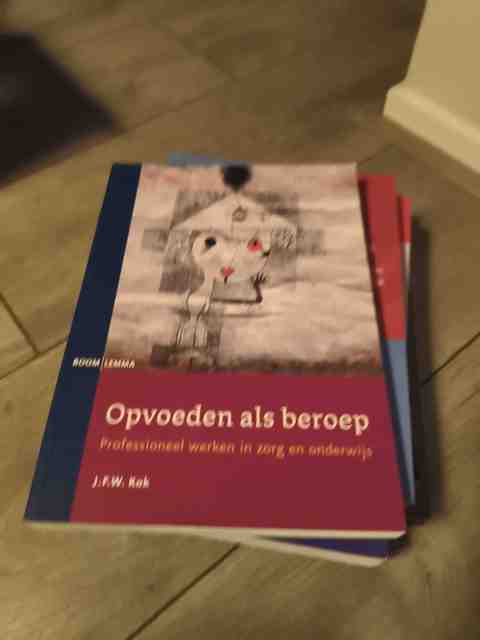 9789059316720-Opvoeden-als-beroep