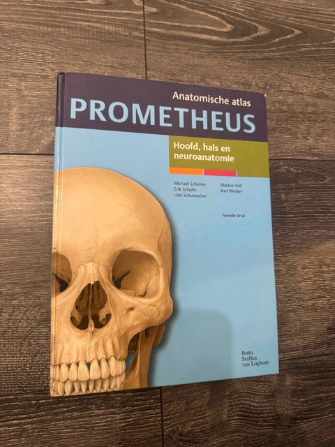 9789031384617-Hoofd-hals-en-neuroanatomie