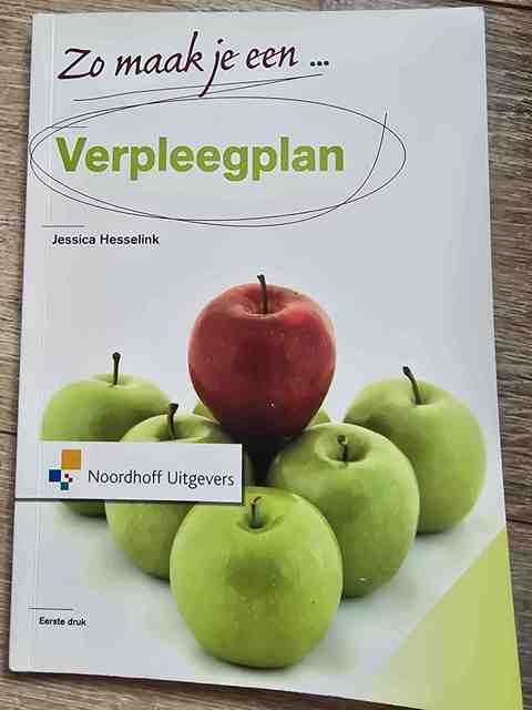9789001804961-Zo-maak-je-een-verpleegplan