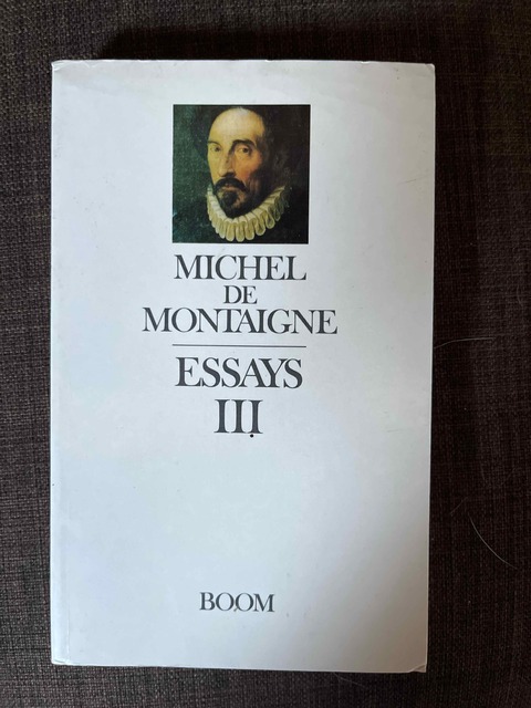 9789053524695-Essays