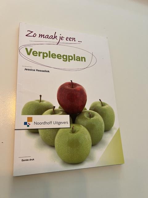 9789001804961-Zo-maak-je-een-verpleegplan